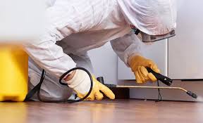 Best Real Estate Pest Inspections  in Radisson, NY